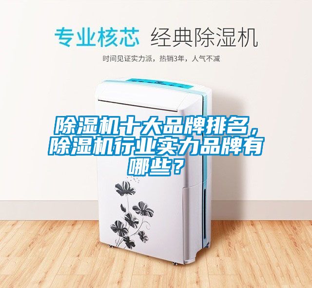 除濕機十大品牌排名，除濕機行業(yè)實力品牌有哪些？