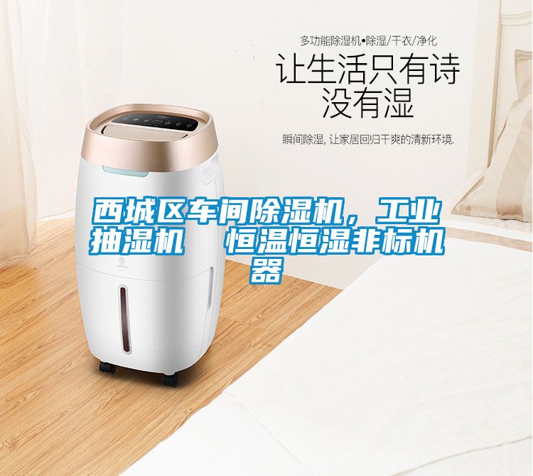 西城區(qū)車(chē)間除濕機(jī)，工業(yè)抽濕機(jī)  恒溫恒濕非標(biāo)機(jī)器