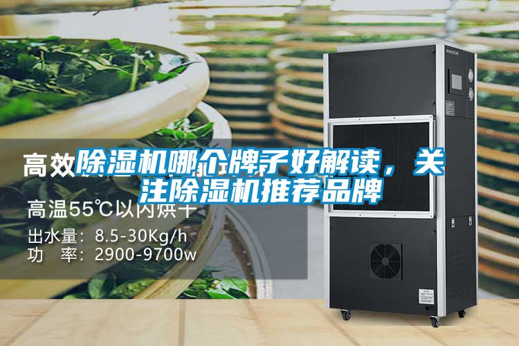 除濕機(jī)哪個(gè)牌子好解讀，關(guān)注除濕機(jī)推薦品牌