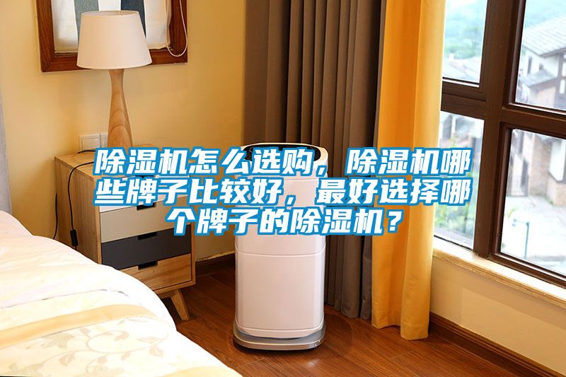 除濕機(jī)怎么選購(gòu)，除濕機(jī)哪些牌子比較好，最好選擇哪個(gè)牌子的除濕機(jī)？