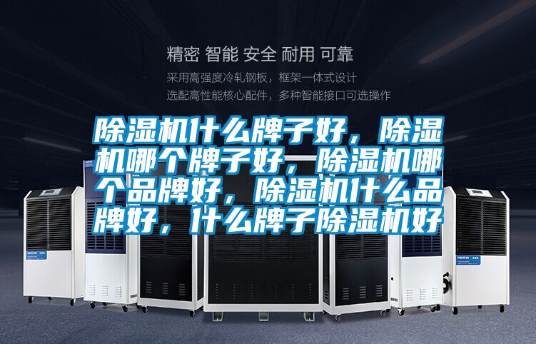 除濕機(jī)什么牌子好，除濕機(jī)哪個牌子好，除濕機(jī)哪個品牌好，除濕機(jī)什么品牌好，什么牌子除濕機(jī)好