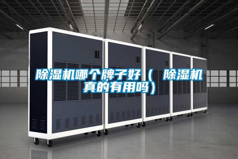 除濕機(jī)哪個牌子好（ 除濕機(jī)真的有用嗎）