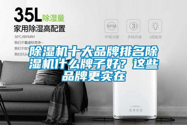 除濕機十大品牌排名除濕機什么牌子好？這些品牌更實在