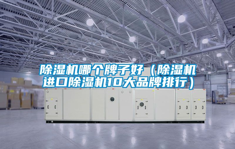 除濕機(jī)哪個牌子好（除濕機(jī)進(jìn)口除濕機(jī)10大品牌排行）