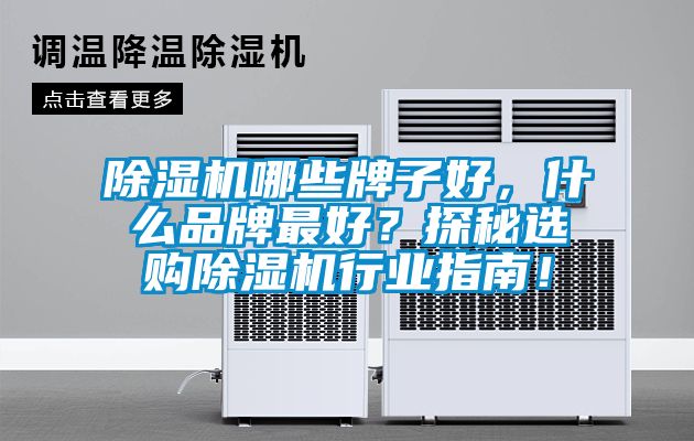除濕機哪些牌子好，什么品牌最好？探秘選購除濕機行業指南！