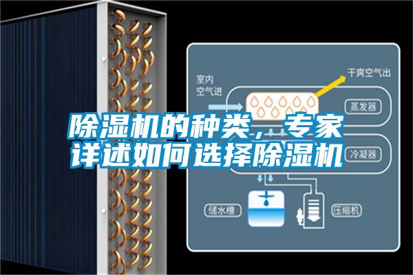 除濕機(jī)的種類，專家詳述如何選擇除濕機(jī)