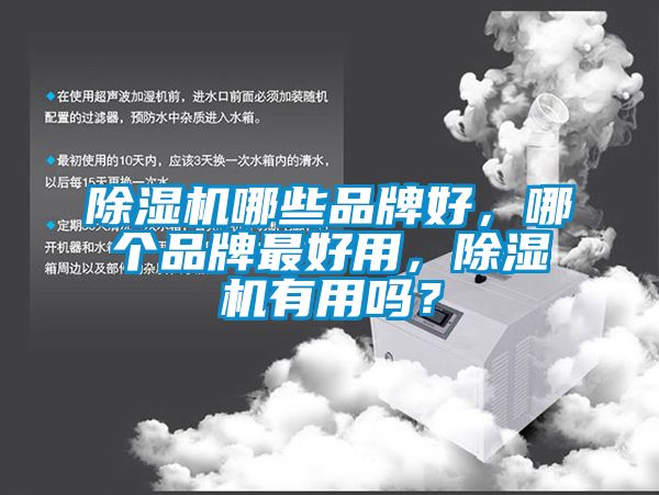 除濕機哪些品牌好，哪個品牌最好用，除濕機有用嗎？