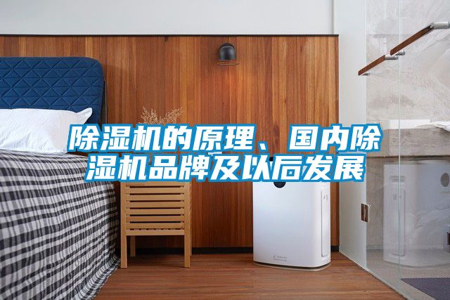 除濕機(jī)的原理、國(guó)內(nèi)除濕機(jī)品牌及以后發(fā)展
