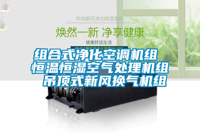 組合式凈化空調(diào)機(jī)組 恒溫恒濕空氣處理機(jī)組 吊頂式新風(fēng)換氣機(jī)組