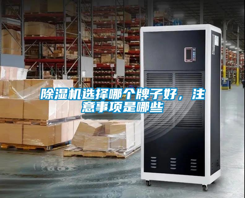除濕機選擇哪個牌子好，注意事項是哪些