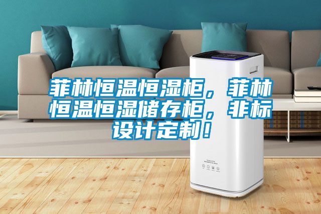 菲林恒溫恒濕柜，菲林恒溫恒濕儲存柜，非標設計定制！