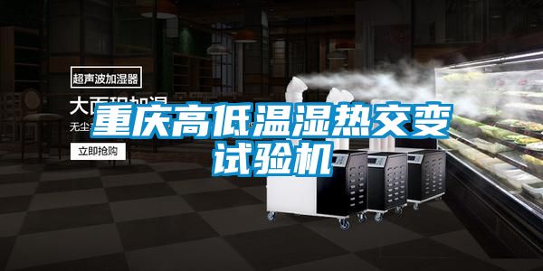 重慶高低溫濕熱交變試驗(yàn)機(jī)
