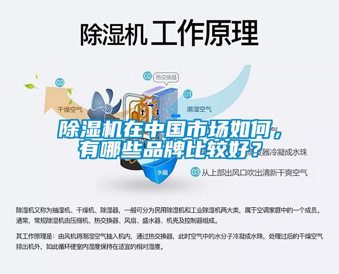 除濕機在中國市場如何，有哪些品牌比較好？