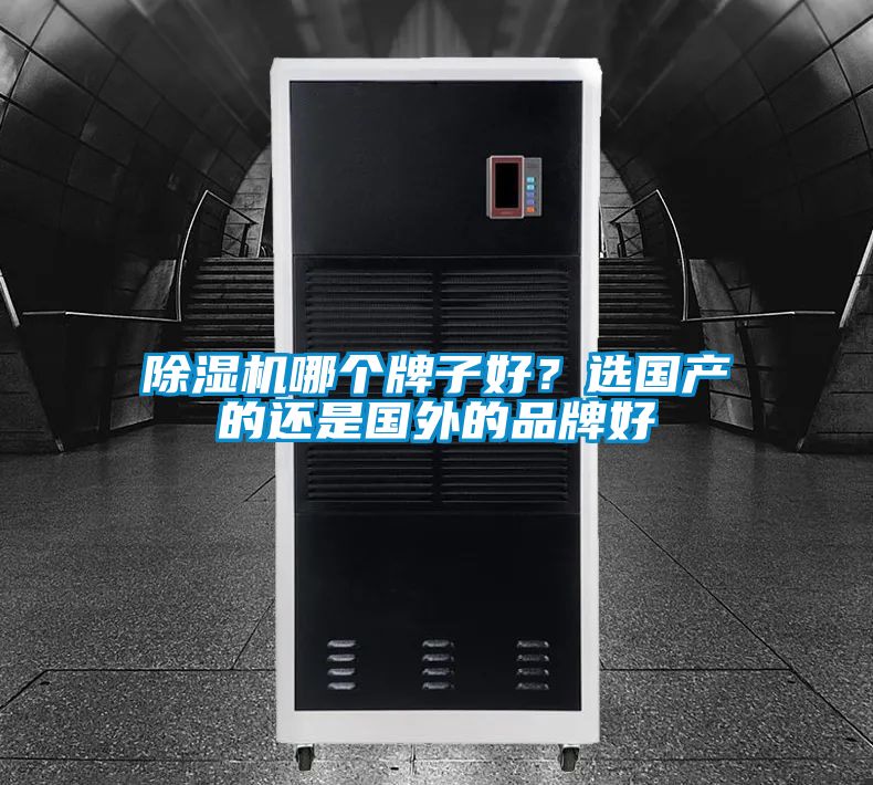 除濕機(jī)哪個牌子好？選國產(chǎn)的還是國外的品牌好