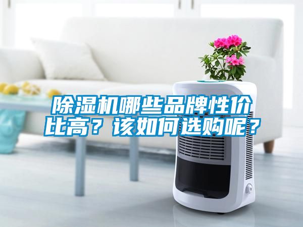除濕機哪些品牌性價比高？該如何選購呢？