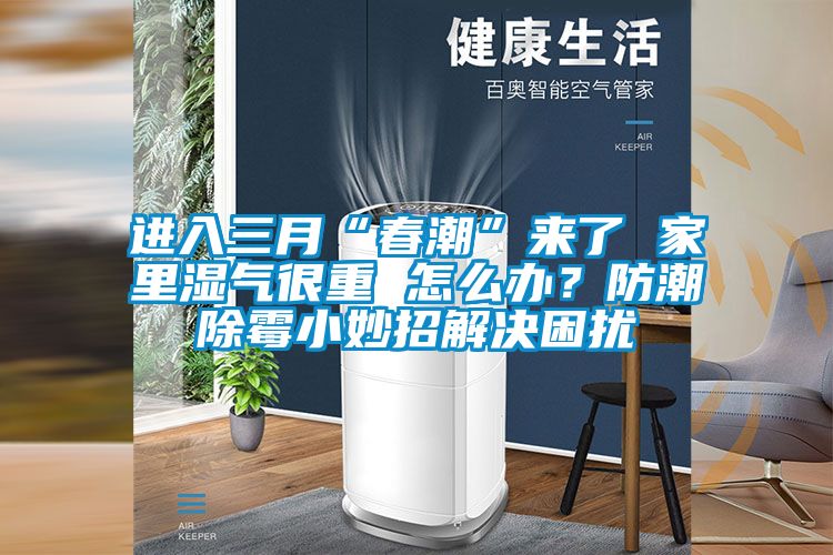 進入三月“春潮”來了 家里濕氣很重 怎么辦？防潮除霉小妙招解決困擾