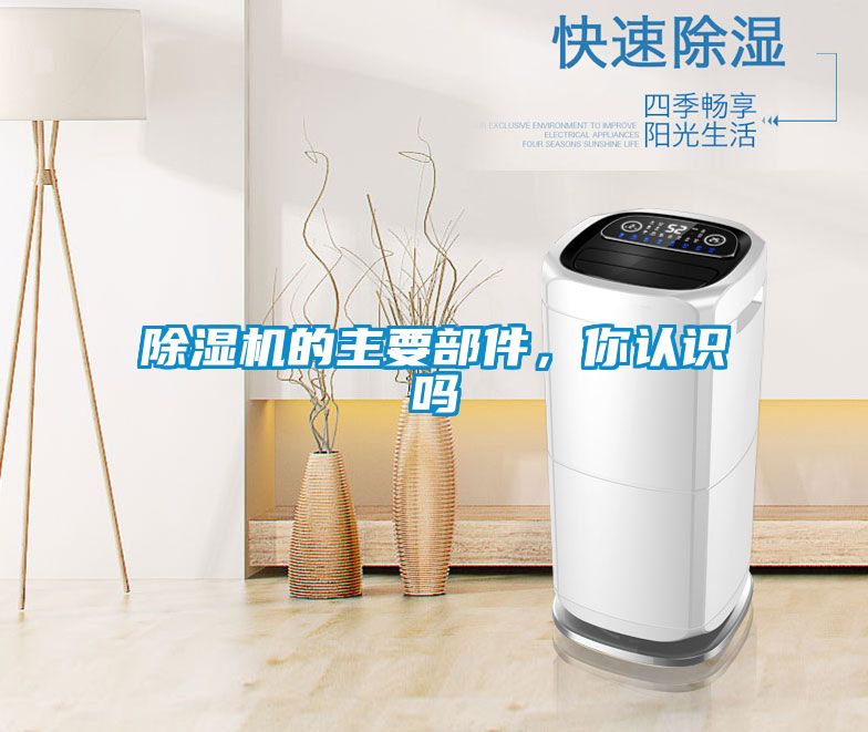 除濕機的主要部件，你認識嗎