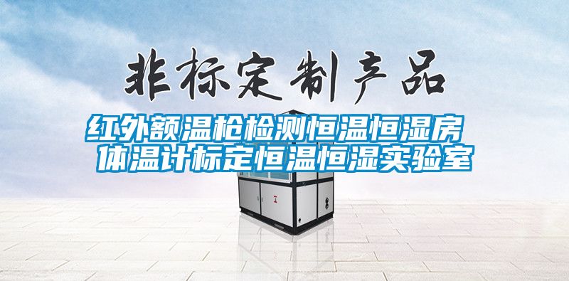 紅外額溫槍檢測恒溫恒濕房 體溫計(jì)標(biāo)定恒溫恒濕實(shí)驗(yàn)室