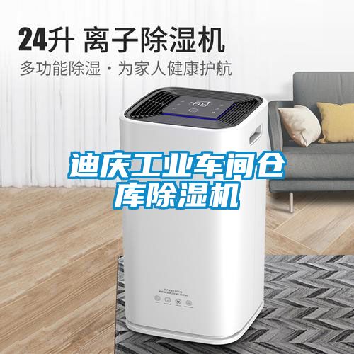 迪慶工業(yè)車間倉庫除濕機