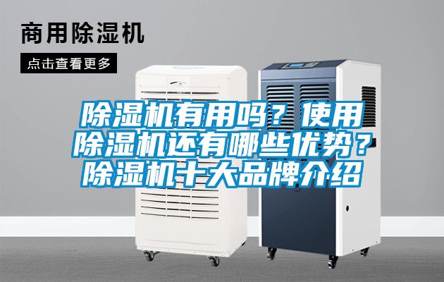 除濕機有用嗎？使用除濕機還有哪些優勢？除濕機十大品牌介紹