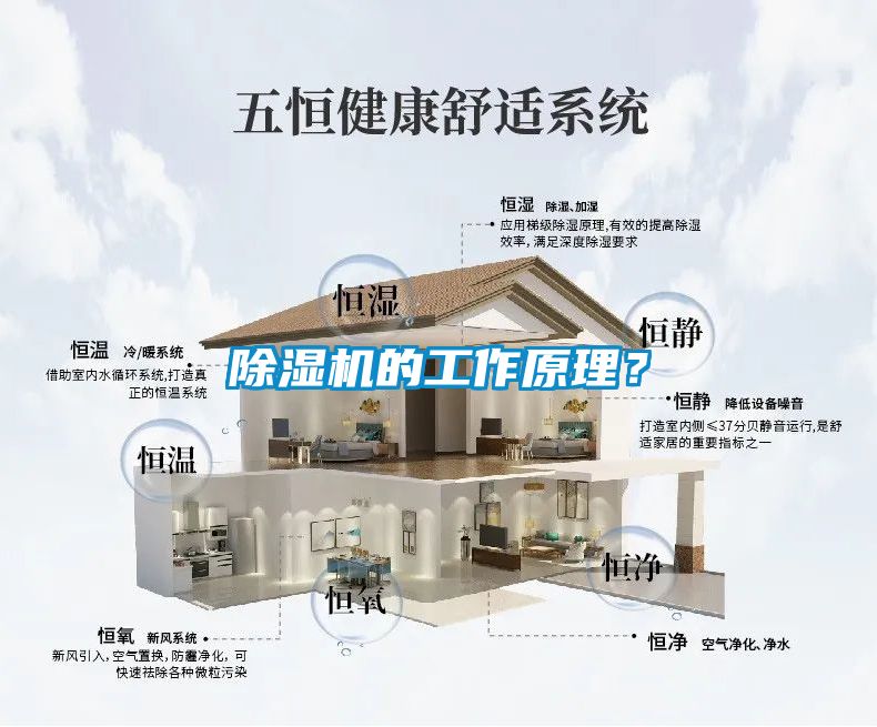 除濕機的工作原理？