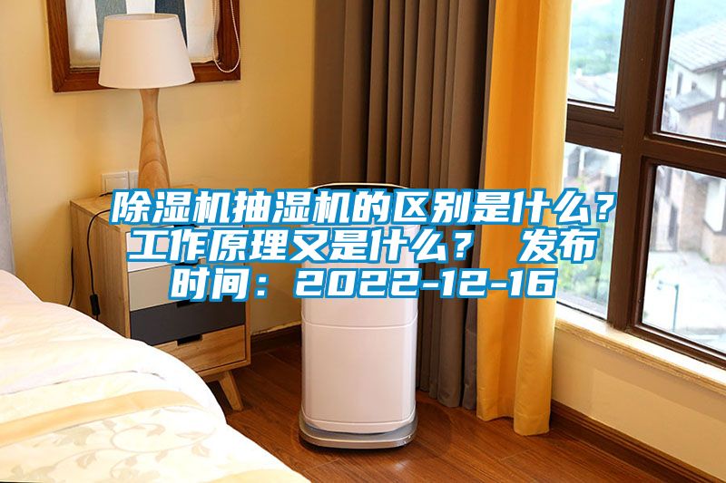 除濕機抽濕機的區(qū)別是什么？工作原理又是什么？ 發(fā)布時間：2022-12-16
