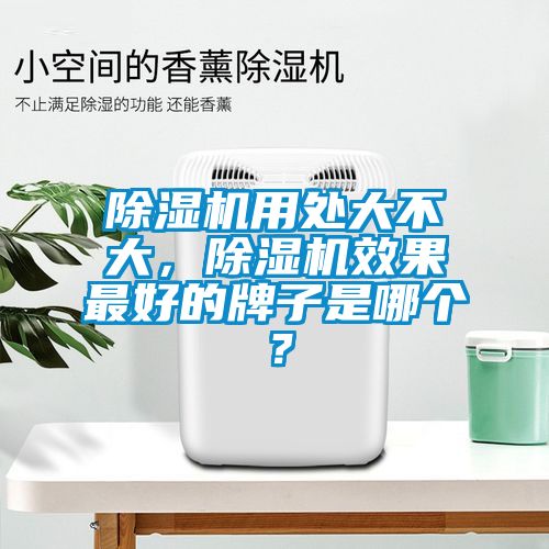 除濕機(jī)用處大不大，除濕機(jī)效果最好的牌子是哪個(gè)？