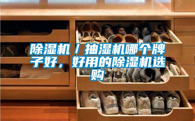 除濕機／抽濕機哪個牌子好，好用的除濕機選購