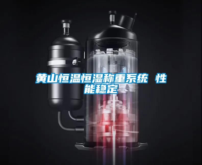黃山恒溫恒濕稱(chēng)重系統(tǒng) 性能穩(wěn)定