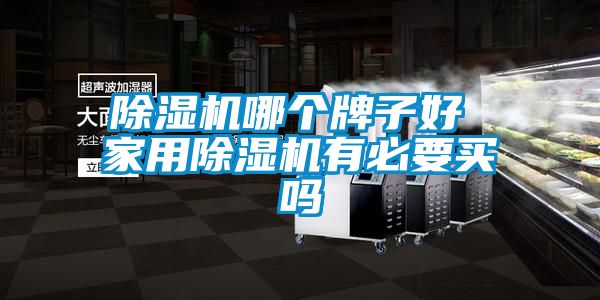 除濕機(jī)哪個(gè)牌子好 家用除濕機(jī)有必要買(mǎi)嗎