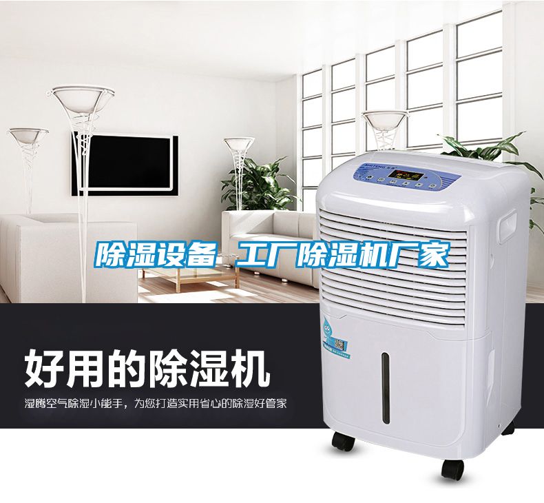 除濕設(shè)備 工廠除濕機廠家