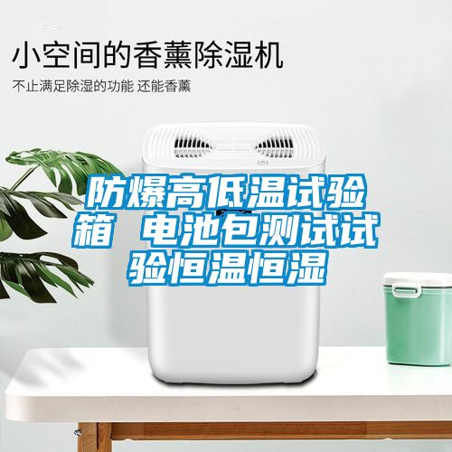防爆高低溫試驗(yàn)箱 電池包測試試驗(yàn)恒溫恒濕