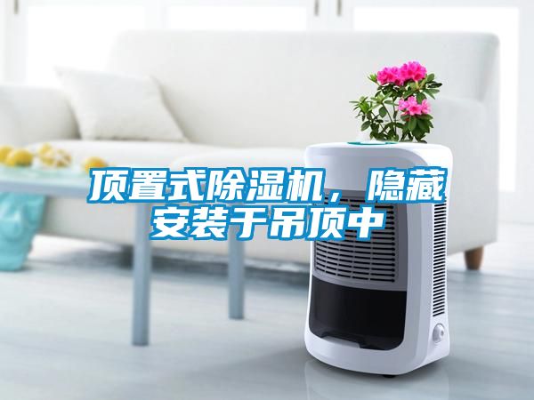 頂置式除濕機(jī)，隱藏安裝于吊頂中