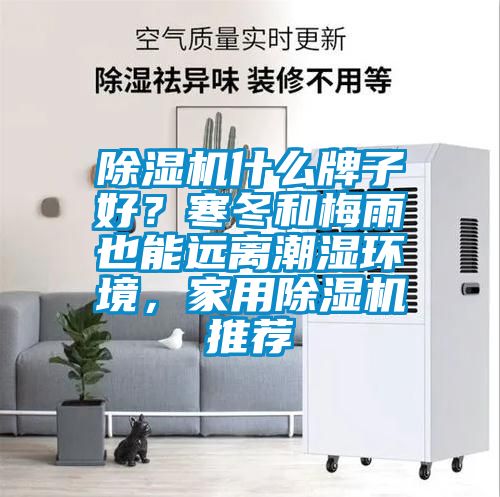 除濕機(jī)什么牌子好？寒冬和梅雨也能遠(yuǎn)離潮濕環(huán)境，家用除濕機(jī)推薦