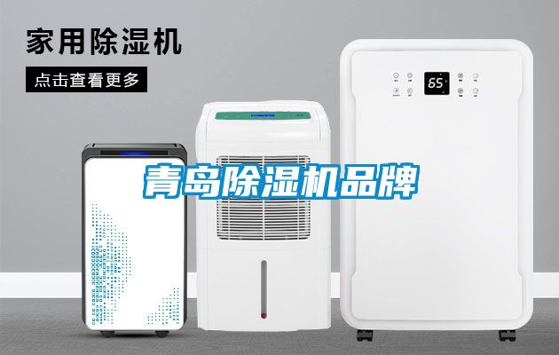 青島除濕機(jī)品牌