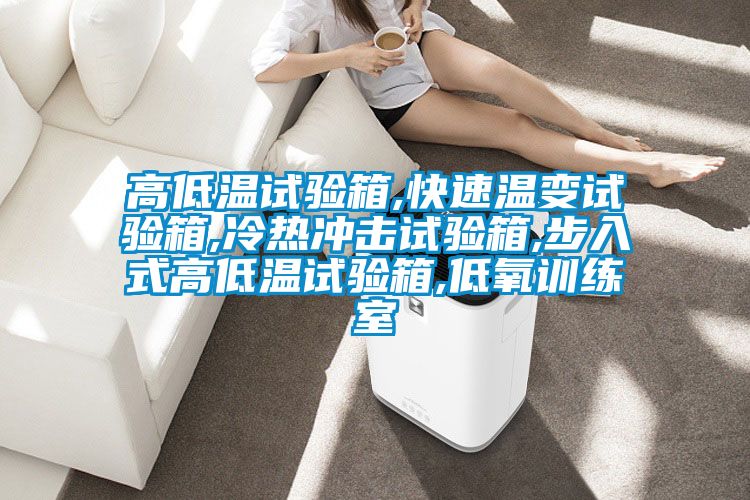 高低溫試驗箱,快速溫變試驗箱,冷熱沖擊試驗箱,步入式高低溫試驗箱,低氧訓(xùn)練室