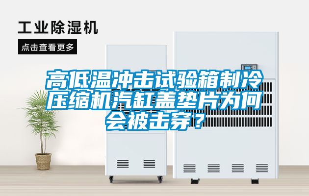 高低溫沖擊試驗箱制冷壓縮機汽缸蓋墊片為何會被擊穿？