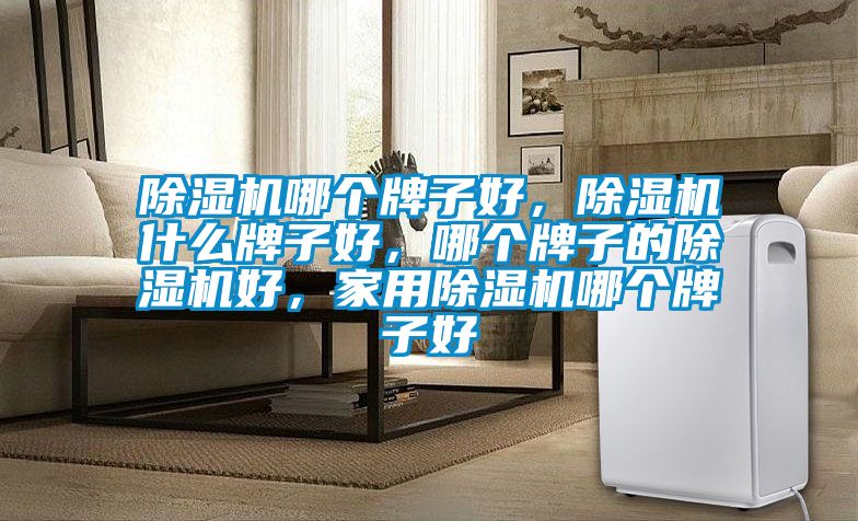 除濕機(jī)哪個(gè)牌子好，除濕機(jī)什么牌子好，哪個(gè)牌子的除濕機(jī)好，家用除濕機(jī)哪個(gè)牌子好