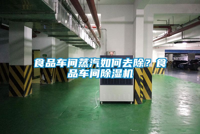 食品車間蒸汽如何去除？食品車間除濕機