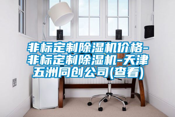 非標(biāo)定制除濕機(jī)價格-非標(biāo)定制除濕機(jī)-天津五洲同創(chuàng)公司(查看)