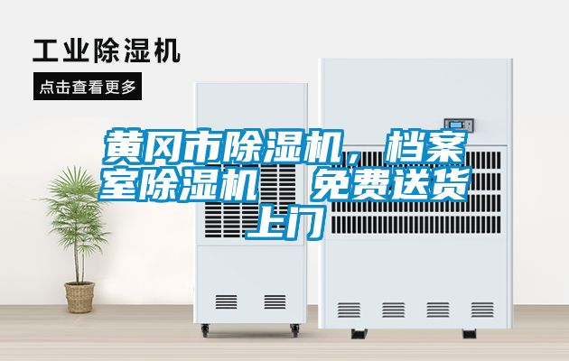 黃岡市除濕機(jī)，檔案室除濕機(jī)  免費(fèi)送貨上門(mén)