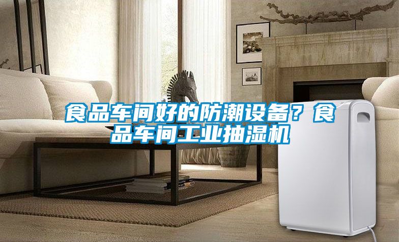食品車間好的防潮設備？食品車間工業抽濕機