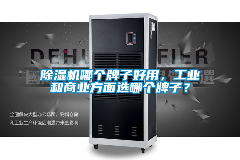 除濕機哪個牌子好用，工業和商業方面選哪個牌子？
