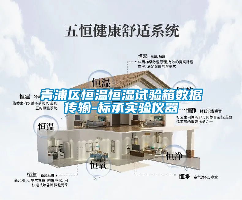 青浦區(qū)恒溫恒濕試驗箱數(shù)據(jù)傳輸-標承實驗儀器