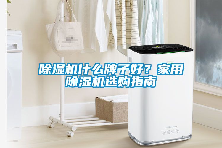 除濕機什么牌子好？家用除濕機選購指南