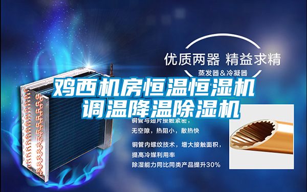 雞西機房恒溫恒濕機 調(diào)溫降溫除濕機