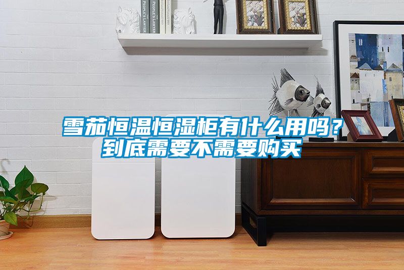 雪茄恒溫恒濕柜有什么用嗎？到底需要不需要購買