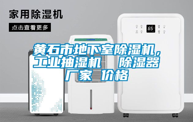 黃石市地下室除濕機，工業抽濕機  除濕器廠家 價格