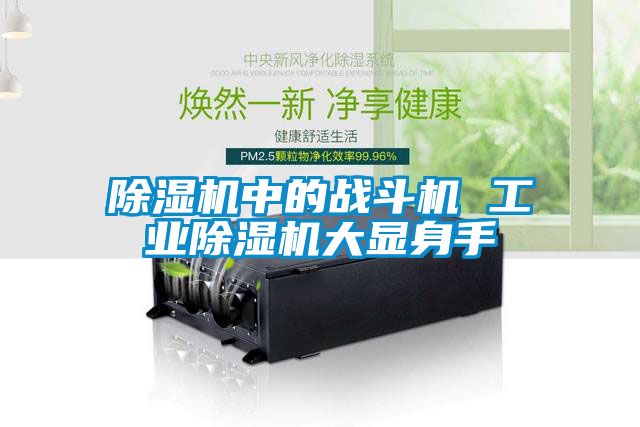 除濕機中的戰(zhàn)斗機 工業(yè)除濕機大顯身手