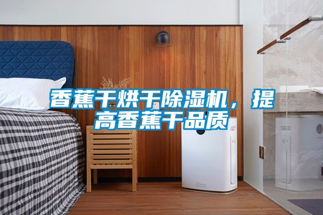 香蕉干烘干除濕機，提高香蕉干品質